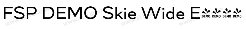 FSP DEMO Skie Wide E字体转换